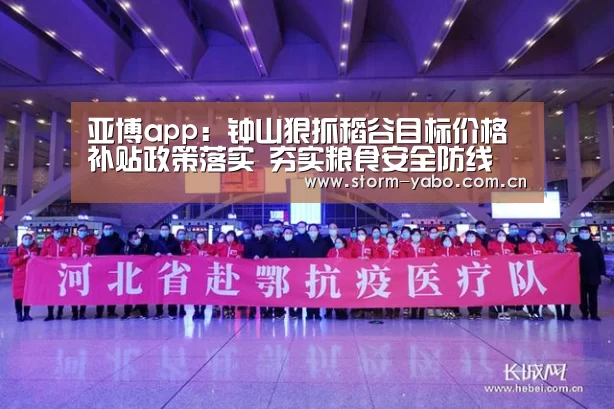 亚博app:钟山狠抓稻谷目标价格补贴政策落实 夯实粮食安全防线(图4) 亚博体育